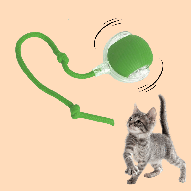 INTERACTIVE SMART BALL