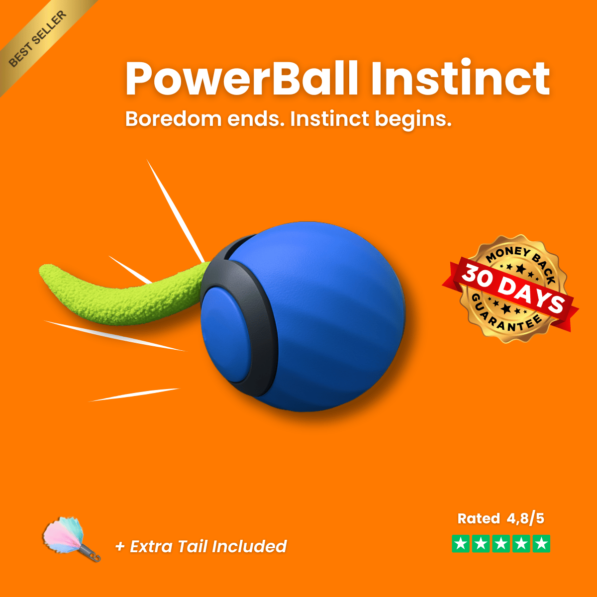 POWERBALL INSTINCT