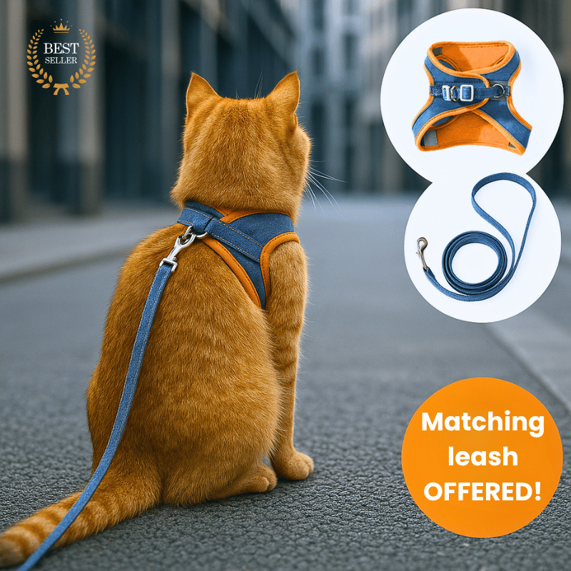 Escape-Proof Cat Harness + Leash