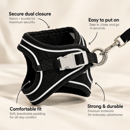 SECURE-FIT SMALL DOG HARNESS + LEASH