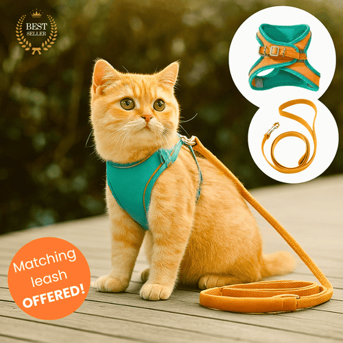 Escape-Proof Cat Harness + Leash