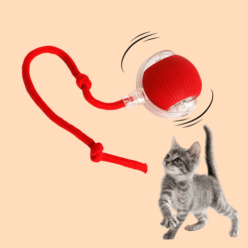 Interactive Ball 2.0