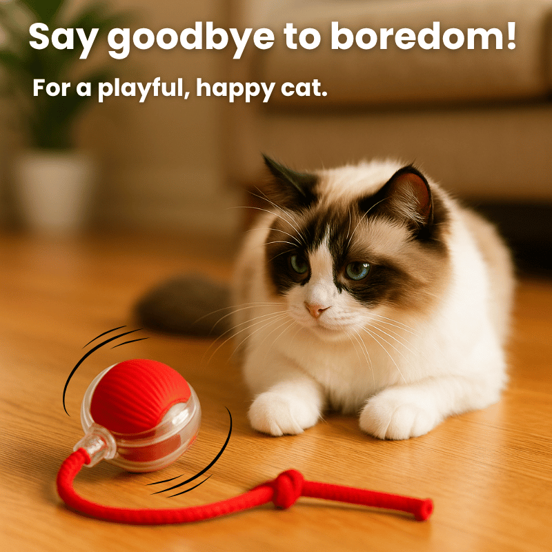 Interactive Ball 2.0