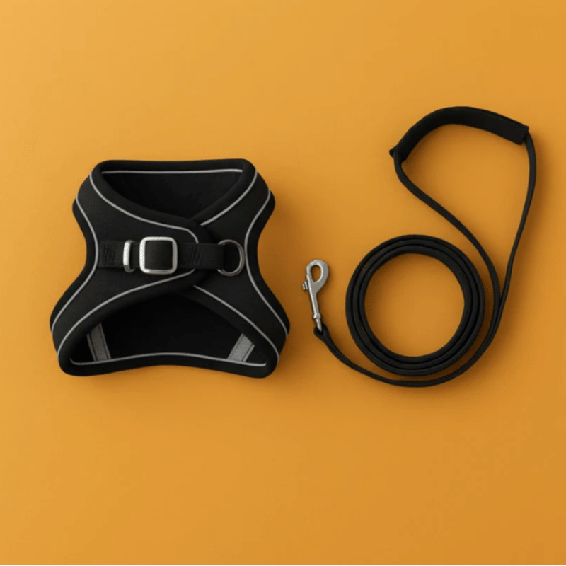 SECURE-FIT SMALL DOG HARNESS + LEASH