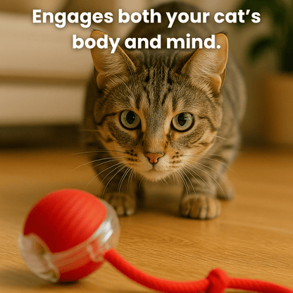 Interactive Ball 2.0