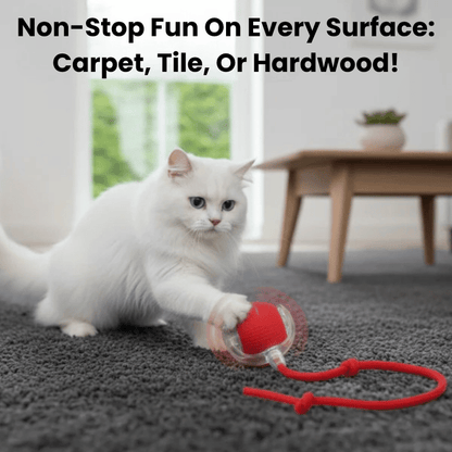 Interactive Ball 2.0