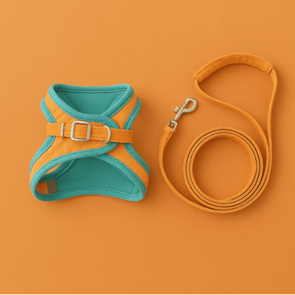 SECURE-FIT SMALL DOG HARNESS + LEASH