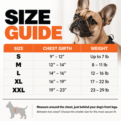 SECURE-FIT SMALL DOG HARNESS + LEASH