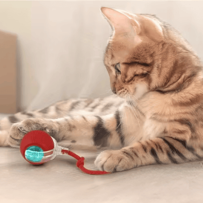 Interactive Ball 2.0