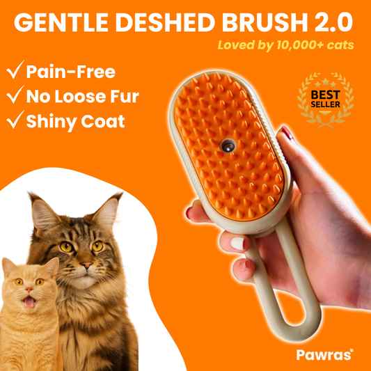 GENTLE DESHED BRUSH 2.0