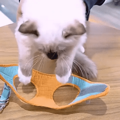 Escape-Proof Cat Harness + Leash