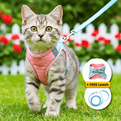 ESCAPE-PROOF CAT HARNESS + LEASH