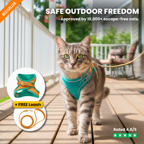 ESCAPE-PROOF CAT HARNESS + LEASH