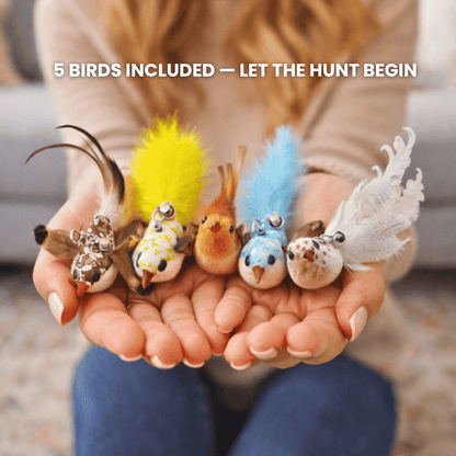 BIRD HUNTING TOY