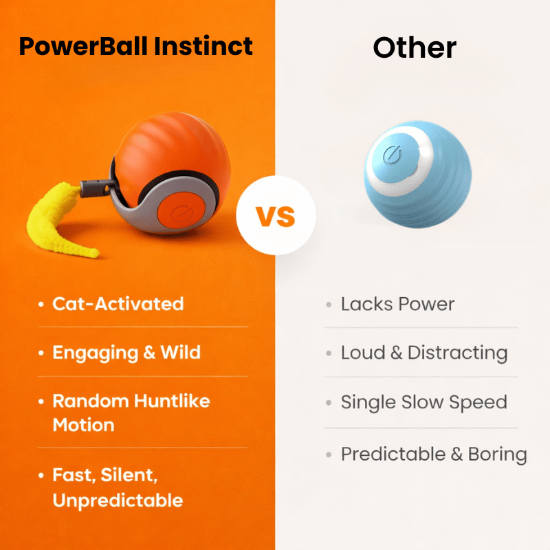 POWERBALL INSTINCT