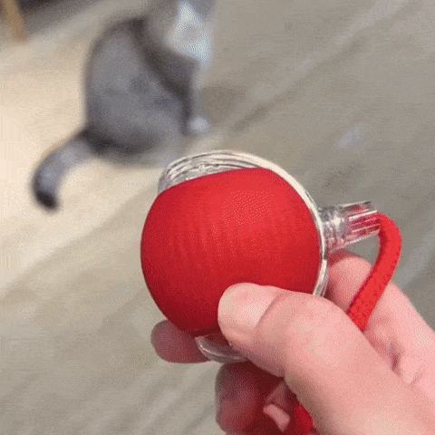 Interactive Ball 2.0