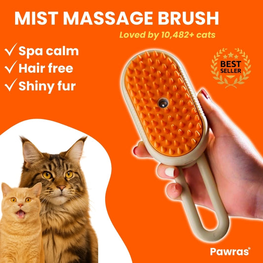 MIST MASSAGE BRUSH 3-IN-1