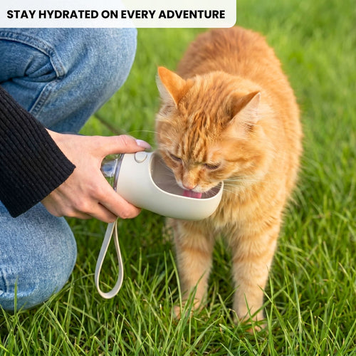 PORTABLE CAT WATER BOTTLE